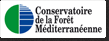 Logo du concervatoire de la forêt Méditerranéenne